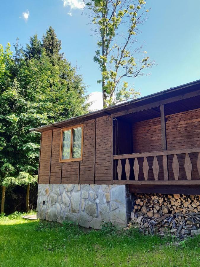 Vagón Lesná Apartamento Jiřetín pod Jedlovou Exterior foto